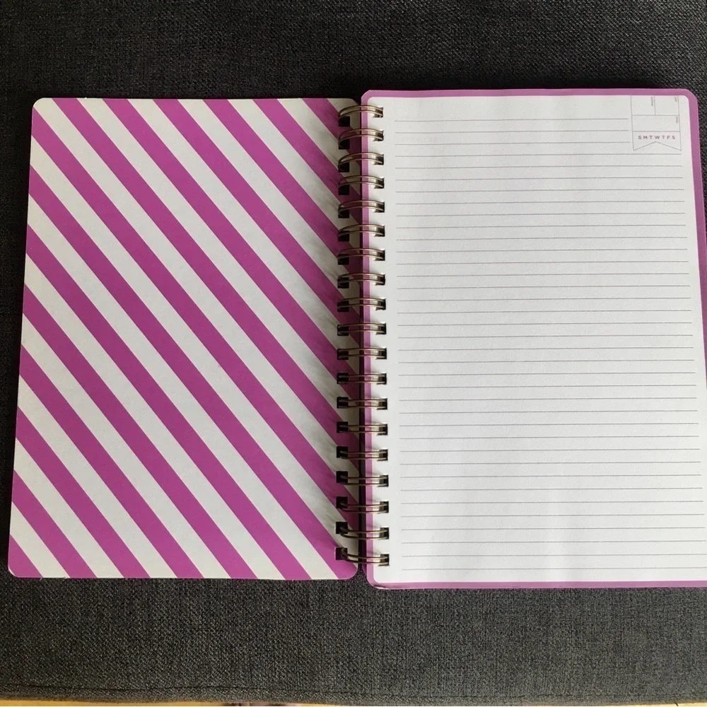 “RIDICULOUSLY good ideas” Spiral Bound, Lined Journal, Pink, White, 120 pages